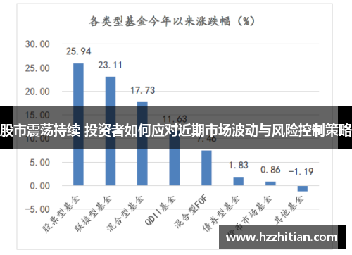 股市震荡持续 投资者如何应对近期市场波动与风险控制策略