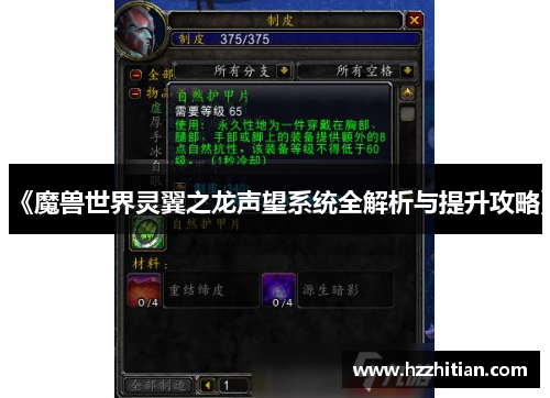 《魔兽世界灵翼之龙声望系统全解析与提升攻略》